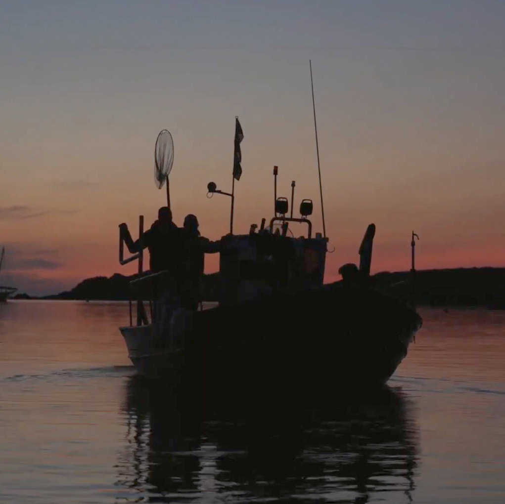 Pesca, ciència i canvi climàtic a la Costa Brava