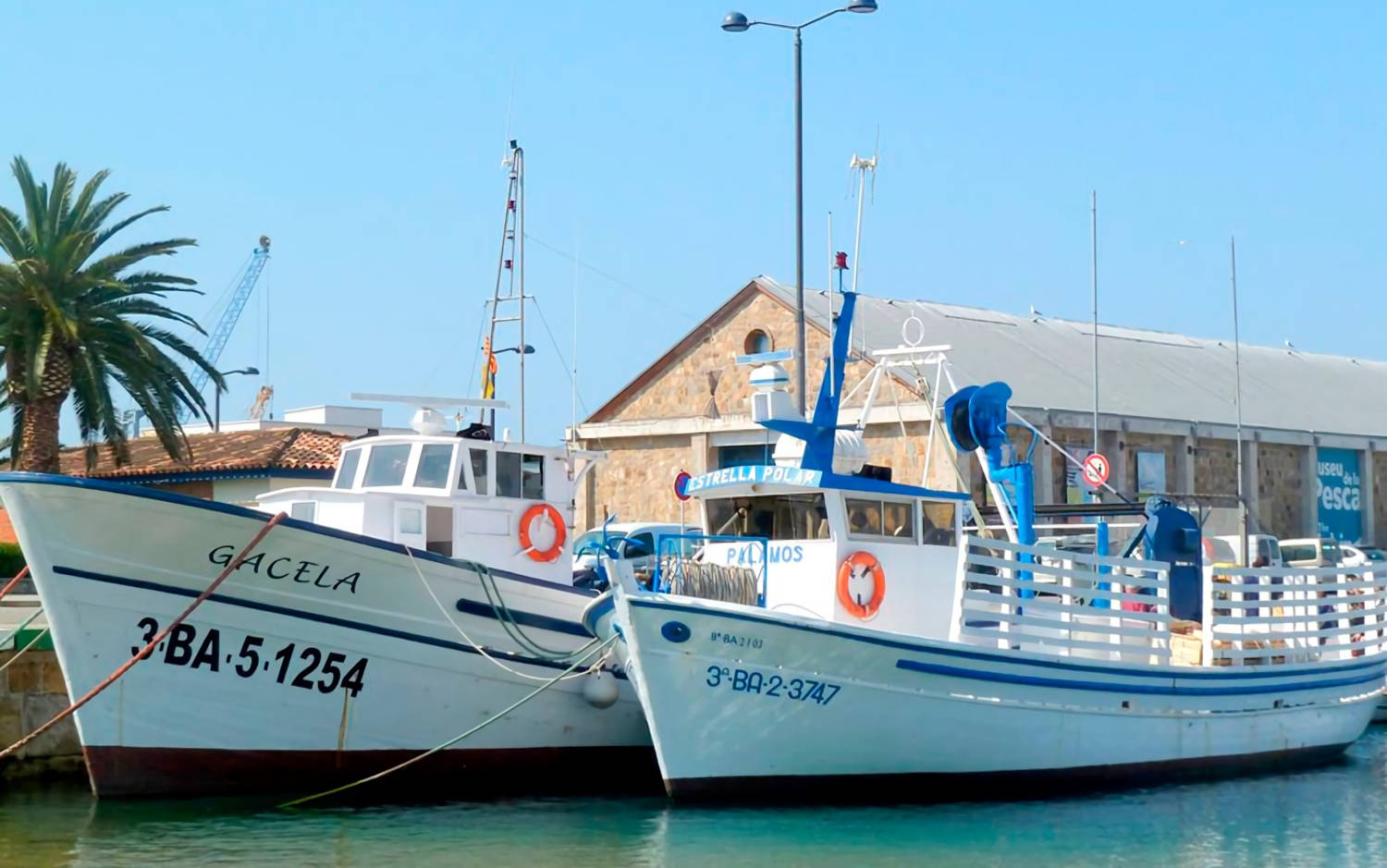 Visita guiada a les Barques del Peix. Port de Palamós