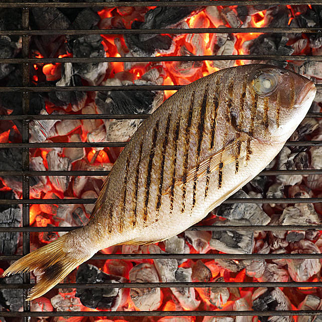 Show cooking. La cuina del peix amb els cinc sentits