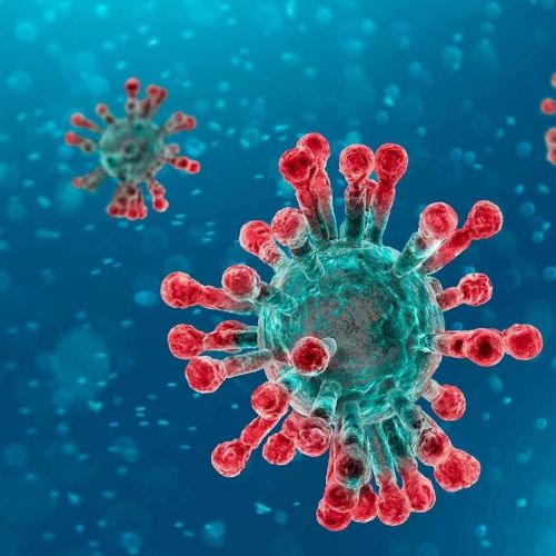 Informacions relatives a la incidència del coronavirus