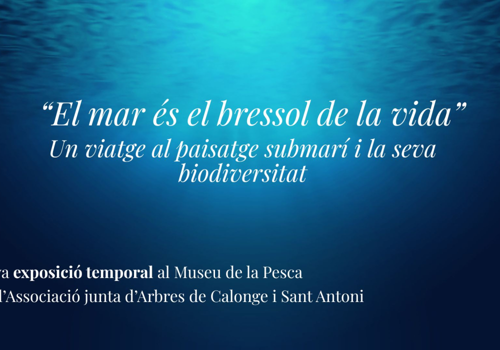 El mar és el bressol de la vida